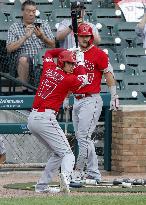 Baseball: Angels vs. Tigers