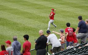 Baseball: Angels vs. Tigers