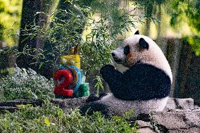 U.S.-WASHINGTON D.C.-GIANT PANDA CUB-2ND BIRTHDAY-CELEBRATION