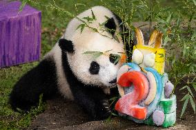 U.S.-WASHINGTON D.C.-GIANT PANDA CUB-2ND BIRTHDAY-CELEBRATION