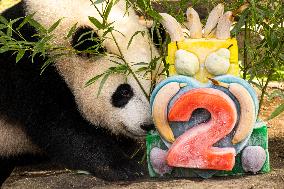 U.S.-WASHINGTON D.C.-GIANT PANDA CUB-2ND BIRTHDAY-CELEBRATION