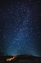 UZBEKISTAN-TASHKENT-NIGHT SCENERY