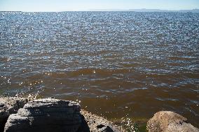 U.S.-SAN FRANCISCO-RED TIDE