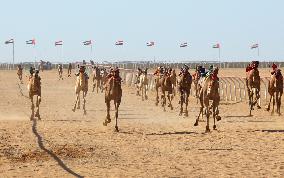 (SP)EGYPT-EL ALAMEIN CITY-CAMEL RACE