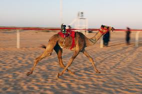 (SP)EGYPT-EL ALAMEIN CITY-CAMEL RACE