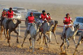 (SP)EGYPT-EL ALAMEIN CITY-CAMEL RACE