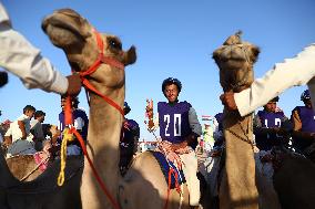 (SP)EGYPT-EL ALAMEIN CITY-CAMEL RACE