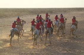 (SP)EGYPT-EL ALAMEIN CITY-CAMEL RACE