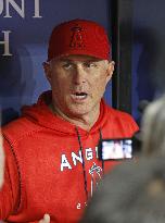 Baseball: Angels interim manager Nevin on potential sale of team