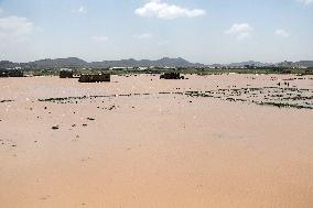 YEMEN-DHAMAR-FLOOD