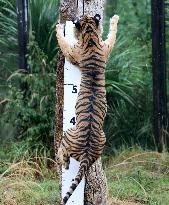 BRITAIN-LONDON-ZSL LONDON ZOO-ANNUAL WEIGH-IN