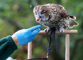 BRITAIN-LONDON-ZSL LONDON ZOO-ANNUAL WEIGH-IN