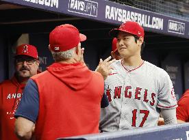Baseball: Angels vs. Rays