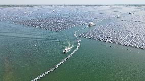 CHINA-ANHUI-YINGSHANG-FLOATING PHOTOVOLTAIC POWER STATION (CN)