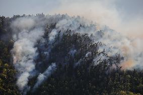 GEORGIA-BORJOMI-WILDFIRE