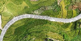 CHINA-GUIZHOU-GUIYANG-PADDY FIELD-VIEW (CN)