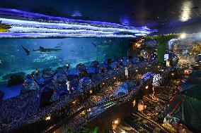 CHINA-ZHUHAI-OCEAN PARK-NIGHT CAMPING (CN)