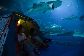 CHINA-ZHUHAI-OCEAN PARK-NIGHT CAMPING (CN)
