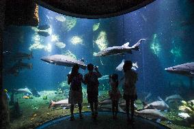 CHINA-ZHUHAI-OCEAN PARK-NIGHT CAMPING (CN)