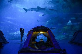 CHINA-ZHUHAI-OCEAN PARK-NIGHT CAMPING (CN)