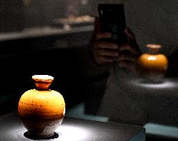 CHINA-HENAN-ZHENGZHOU-TRI-COLORED GLAZED POTTERY-JOINT EXHIBITION (CN)