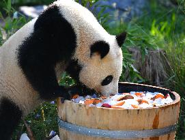 GERMANY-BERLIN-GIANT PANDA TWINS-THIRD BIRTHDAY