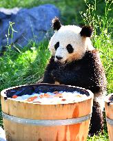 GERMANY-BERLIN-GIANT PANDA TWINS-THIRD BIRTHDAY