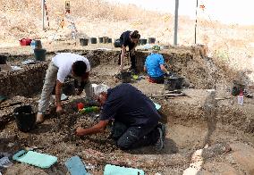 ISRAEL-REVADIM-ELEPHANT TUSK-DISCOVERY