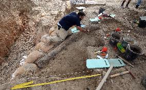 ISRAEL-REVADIM-ELEPHANT TUSK-DISCOVERY