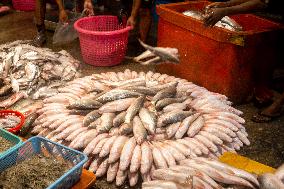 MYANMAR-YANGON-FISH MARKET