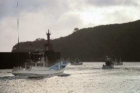 Dolphin hunt in western Japan town