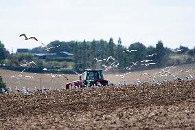 BRITAIN-STAFFORDSHIRE-FARM FIELDS-DROUGHT