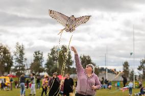 AUSTRALIA-GOOGONG-SPRING-KITES