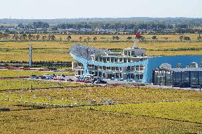 CHINA-HEILONGJIANG-HARBIN-INTELLECTUAL AGRICULTURE-PADDY RICE (CN)