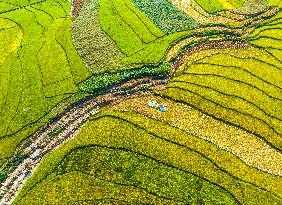 #CHINA-AUTUMN-FARMING (CN)