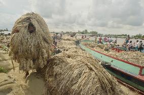 BANGLADESH-MUNSHIGANJ-JUTE