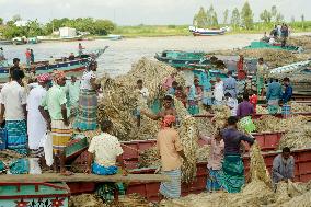 BANGLADESH-MUNSHIGANJ-JUTE