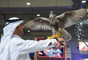 QATAR-DOHA-HUNTING AND FALCONS EXHIBITION
