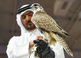 QATAR-DOHA-HUNTING AND FALCONS EXHIBITION