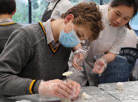 NEW ZEALAND-WELLINGTON-CHINESE CULTURE-MOON CAKE MAKING