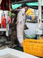 CHINA-HEILONGJIANG-FUYUAN-FISH MARKET (CN)