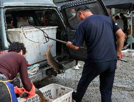 CHINA-HEILONGJIANG-FUYUAN-FISH MARKET (CN)