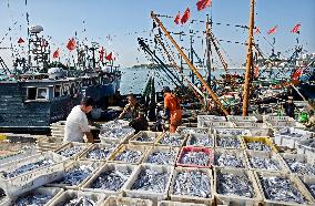 CHINA-SHANDONG-QINGDAO-FISHING PORT (CN)
