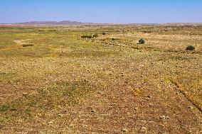 CHINA-INNER MONGOLIA-ABAG BANNER-GRASS MOWING (CN)