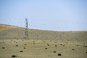 CHINA-INNER MONGOLIA-ABAG BANNER-GRASS MOWING (CN)