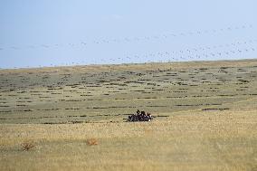 CHINA-INNER MONGOLIA-ABAG BANNER-GRASS MOWING (CN)