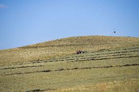 CHINA-INNER MONGOLIA-ABAG BANNER-GRASS MOWING (CN)