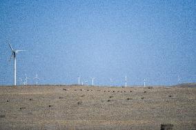 CHINA-INNER MONGOLIA-ABAG BANNER-GRASS MOWING (CN)