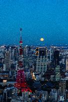 JAPAN-TOKYO-FULL MOON