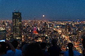 JAPAN-TOKYO-FULL MOON